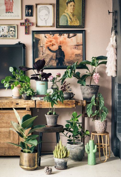 Angoli green: le piante in casa