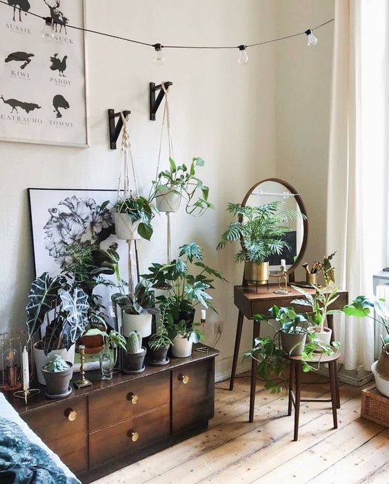 Angoli green: le piante in casa