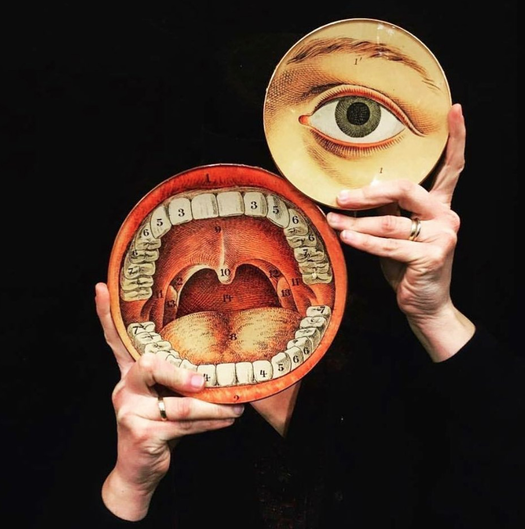 alt mean sold - plates anatomical collection