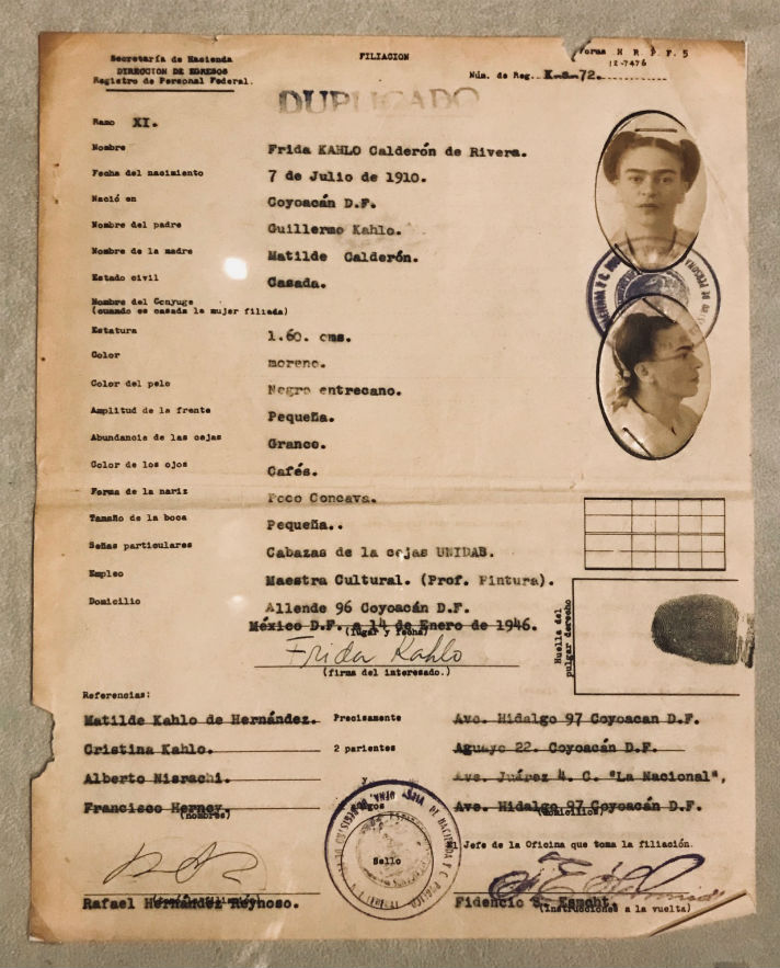 scheda anagrafica frida