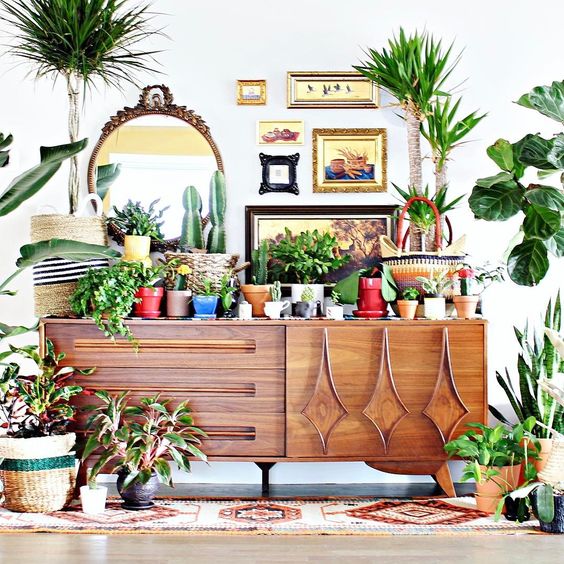 Angoli green: le piante in casa