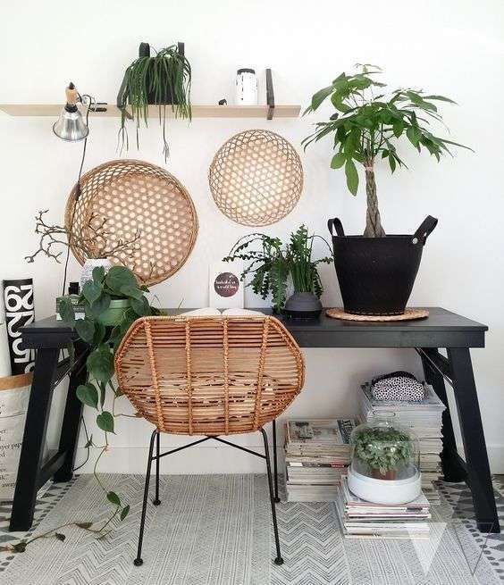 Angoli green: le piante in casa