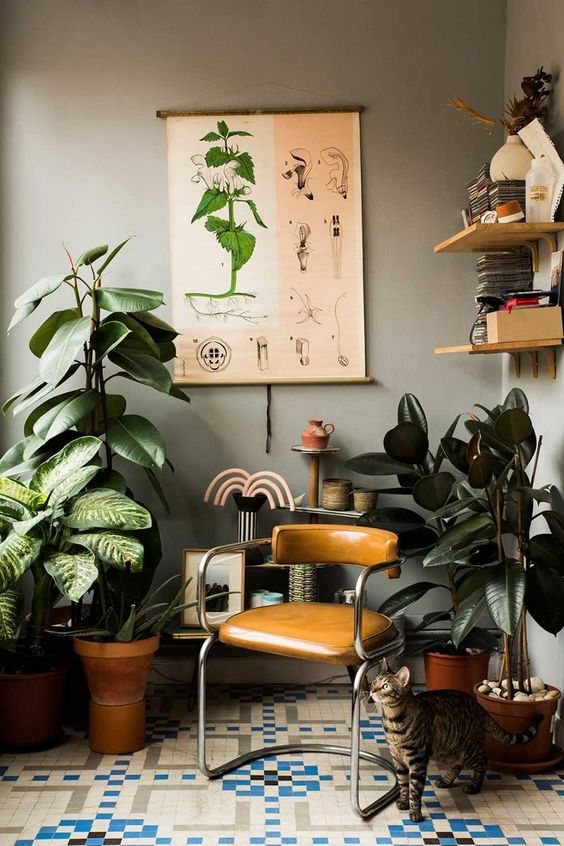 Angoli green: le piante in casa