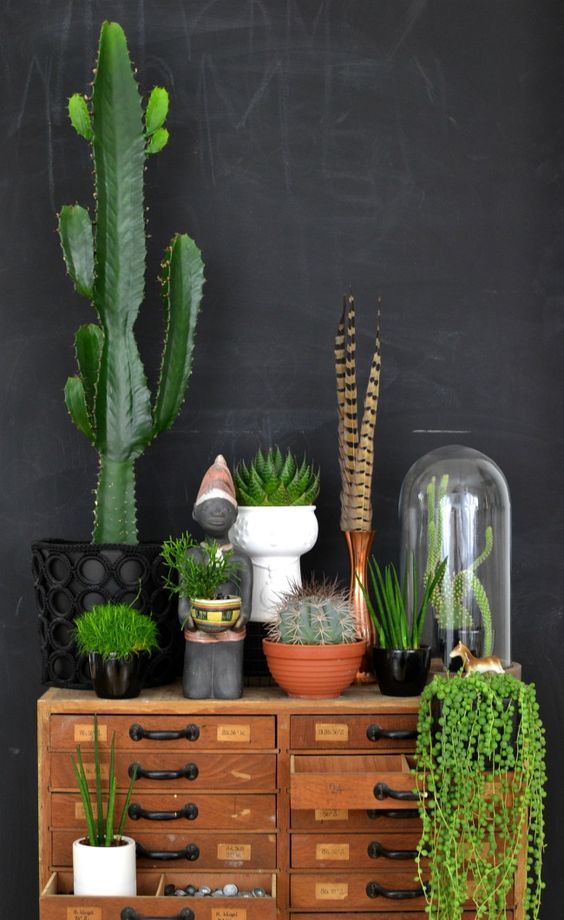 Angoli green: le piante in casa