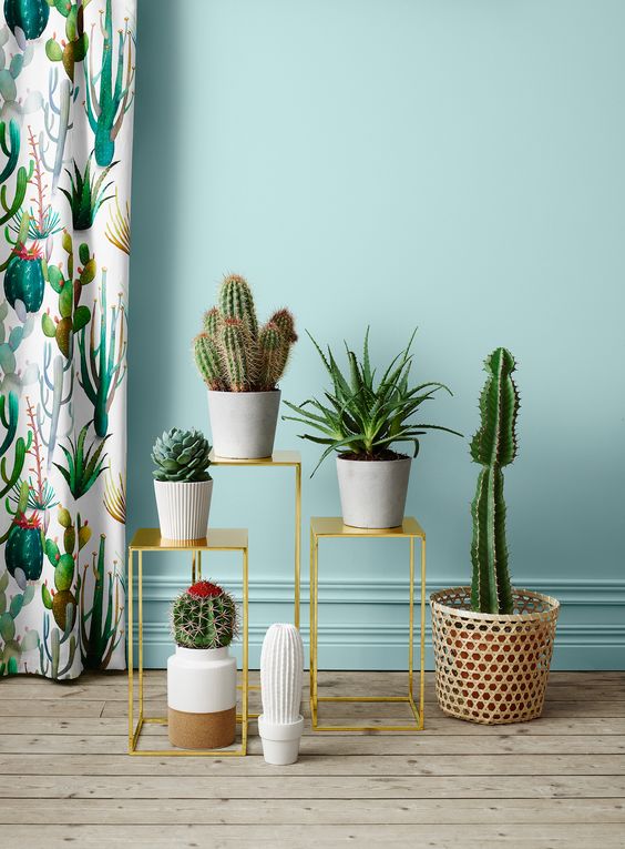 Angoli green: le piante in casa