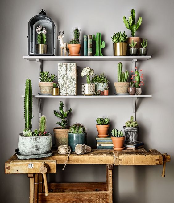 Angoli green: le piante in casa